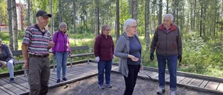 Boule – ett perfekt sätt att umgås