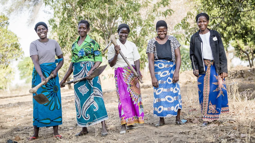 De här fem kvinnorna är alla med i en bondegrupp i Malawi. Tillsammans ser de till att bekämpa fattigdomen i ett av världens fattigaste länder. Från höger: Ethel Chikho, Estele Jayilosi, Estele Eliya, Alefa Yembekezani, Anastasia Mumba. 