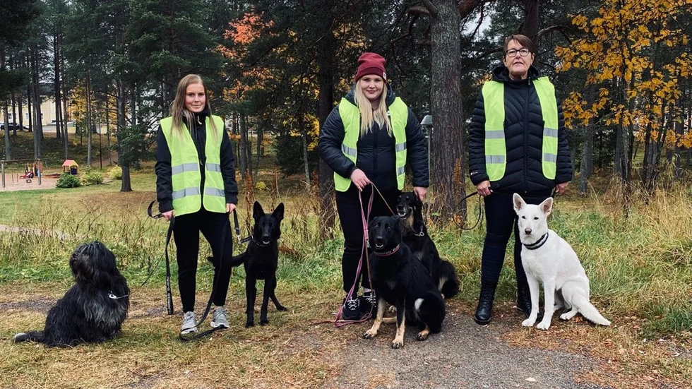 Elina Lundberg, Josefine Granström och AnnaLena Lindström ser fram emot att fler hakar på hundpromenaderna för att förhindra inbrott.