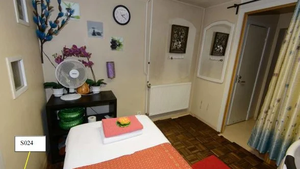På massagesalongen såldes det sex och hjärnan bakom verksamheten är enligt åklagaren den nu åtalade 42-åriga kvinnan. En specialutbildad hund har markerat för sperma på flera ställen.
