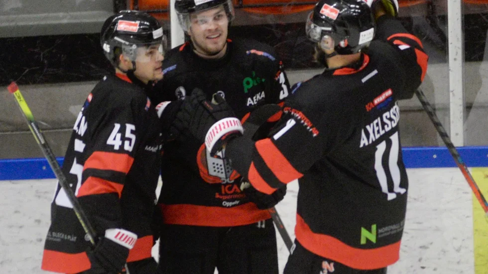 Centralgestalter när Nyköping vände 0–1 till 4–1. Charlie Björlin gjorde ett plus två, David Ojamäe fantastiskt boxplay och ett mål och så gjorde Christian Axelsson sitt andra och tredje mål i höst.