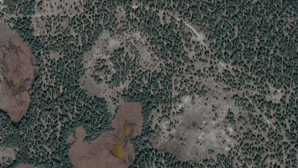 Området kring Fårö Lauter 1964