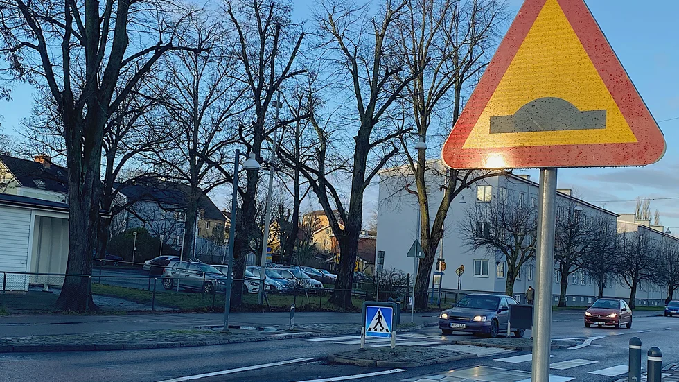 Dyra trafikhinder som förstör fordon och försvårar för vägunderhåll. 