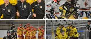 VH-kollen: Så slutade alla matcher i höstas