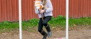 "Käpphäst är större än vad man kan tro"