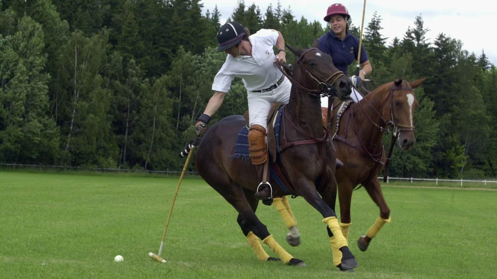 Ett nystartat företag vill satsa på hästpolo i Alskog.