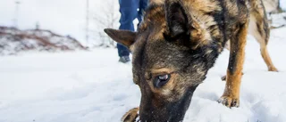 Ingen misstanke om brott mot försvunnen kvinna