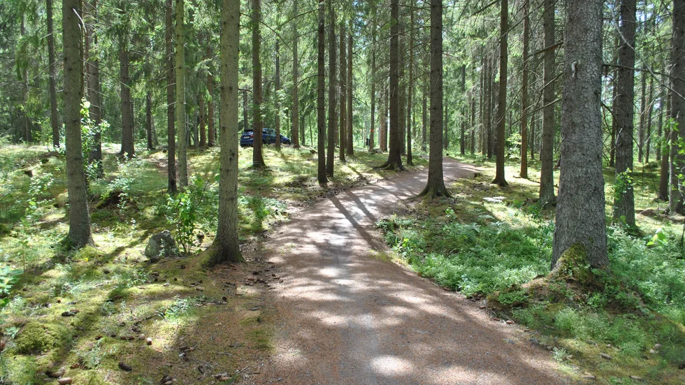 "Rätten att äga och bruka sin egen skog är idag hotad" skriver debattskribenterna.
