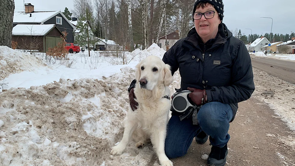 Sally tycker om att vara ute, men promenaderna med matte Gunilla Martinsson blev inte fullt så långa, när det var så kallt mellan den 27 januari och 12 februari.