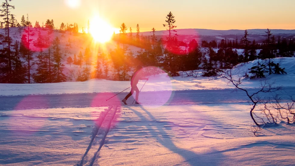 Nu blir det ljusare i allt snabbare takt, mest ökar dagarnas längd i Norrland. Arkivbild.