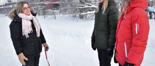 Studenter ska hjälpa kommunen med Konstens väg