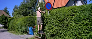 Pensionären är en tillgång    