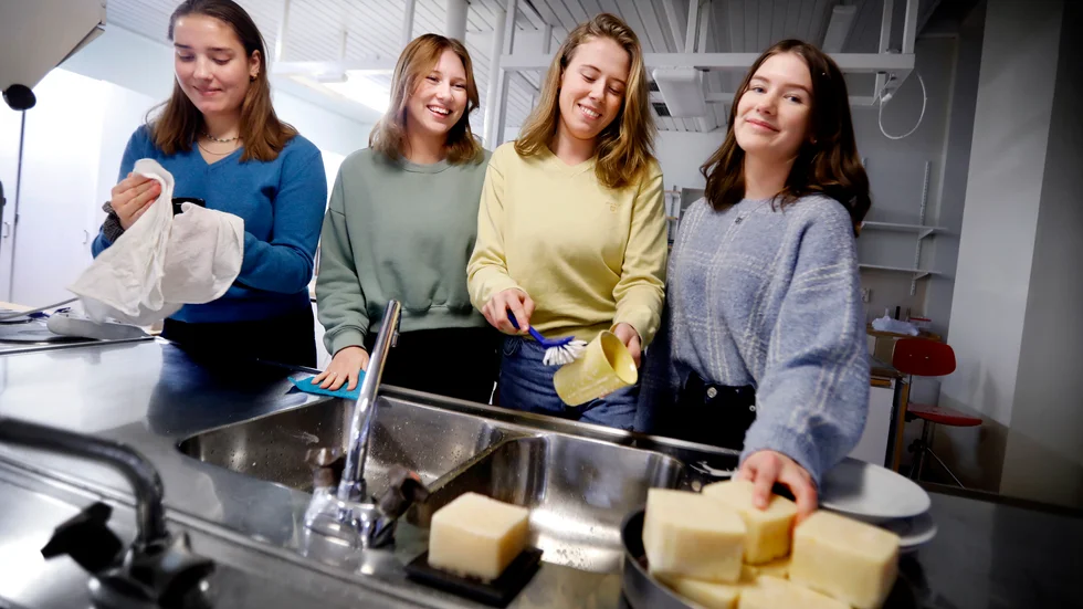Olga Taipale Latva-Karjanmaa, Towa Wärme, Emma Nordgren och Matilda Kennhed på HållBar UF vill minska användningen av plastförpackningar och satsar på diskmedel i fast form. "Små miljömedvetna val i vardagen gör stor skillnad",