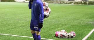 Klartecken för division 2 – VFC-premiär första helgen i juni: "Ska bli så kul"