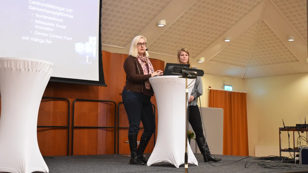 Företagare i Kalix fick veta mer om Norrlandsnavet av Luleå tekniska universitets Marita Holst och Maria Wallander. 