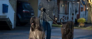 Hösten är en tuff tid när hundpälsen ska hållas ren