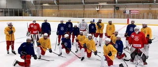 Svaga starten sänkte Östergötland i tv-pucken