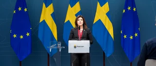 Regeringens kritik mot minimilön är förljugen