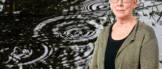 Birgitta Pettersson: På utflykt i en upprörd verklighet