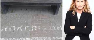 Inför lag om tobaksfri skoltid nu
