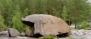 Bilden                         