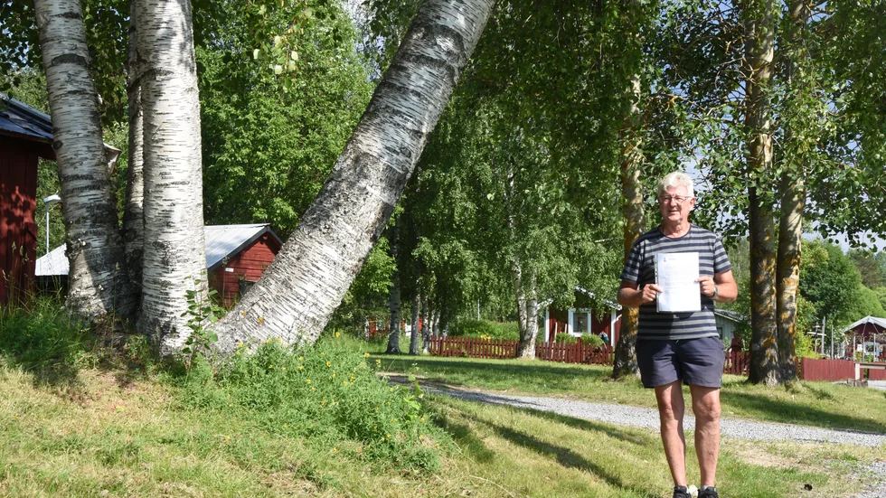 Den lutande björken kan vara en fara för besökare. Arne Nygren är orolig och hoppas att kommunen tar tag i problemet. 