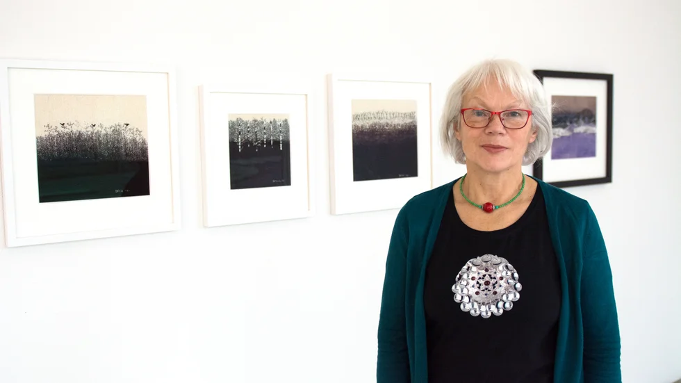 Britta Marakatt Labba riktar skarp kritik mot direktionen för konstmuseet i Kiruna. 