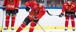 "Skuggan" om Hållanders eventuella framtid i Luleå