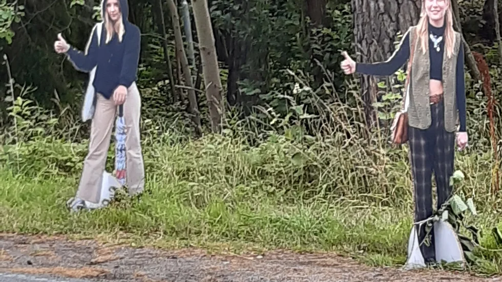 Pappersfigurerna står längs med Huga Alfvens väg och har fått flera förbipasserande att reagera.
