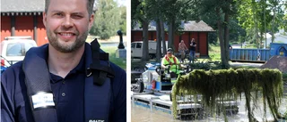 Så mycket vattenpest har de rensat ur kanalen
