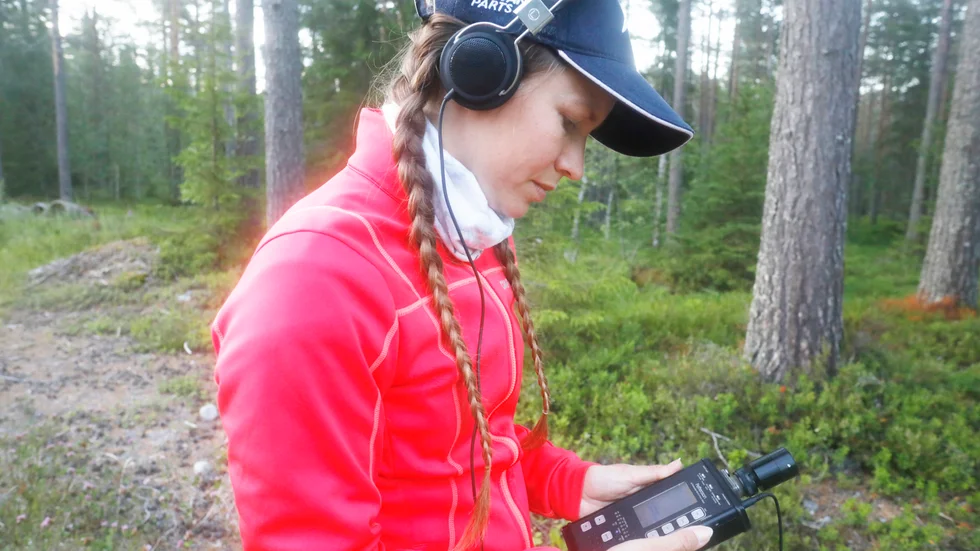 För att hitta fladdermössen måste man kunna läsa av landskapet och förstå var man ska röra sig, enligt Linnea Kjellberg.