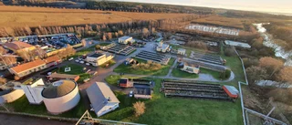 Rening av läkemedel i nya verket får vänta