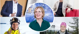 Lista: Så mycket tjänar näringslivsprofilerna
