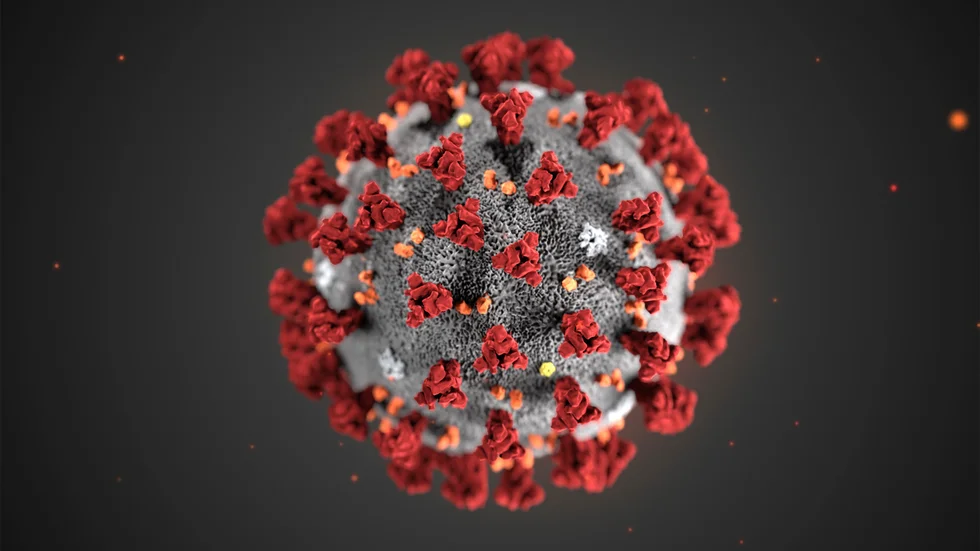 En handfull av de knappt 90 vaccinkandidater mot covid-19 som testas i tidiga djurförsök utvecklas av svenska forskare. Arkivbild.
