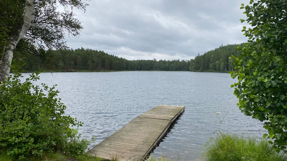 "Med lagförslaget som nu läggs fram kommer det att bli lättare att bygga nära vatten, bland annat eftersom inget generellt strandskydd ska gälla runt sjöar mindre än en hektar och längs vattendrag smalare än två meter", skriver Karin Enström (M) partisekreterare, John Widegren (M) riksdagsledamot och gruppledare Miljö- och jordbruksutskottet, Marie Nicholson (M) riksdagsledamot från Kalmar län och Pär-Gustav Johansson (M) regionråd Region Kalmar län.
