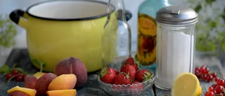 Gör din egen sommarsaft