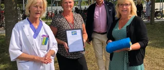 Landshövding delade ut flagga 