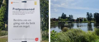 Berätta om när du bröt mot en regel - på pratpromenaden