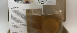 Startkit Kombucha hemmabryggning