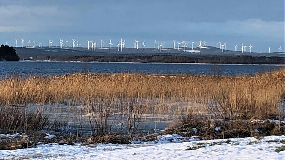 Vindkraftverken tornar upp sig. Utsikt över Svensbyfjärden.