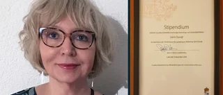 Slöjdstiftelse beviljas stipendium