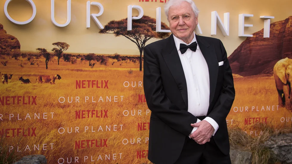 "Vår planet tål inte miljarder köttätare. Vi måste gå över till en växtbaserad kost, plantera träd och ge utrymme åt vild natur", säger zoologen och BBC-programledaren David Attenborough i den nya Netflix-dokumentären A life on our planet. Det spinner Jonas Norberg vidare på i denna debattartikel.