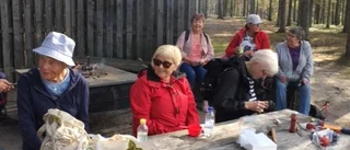 Grönt ljus för Höträskvandringen