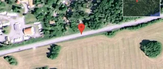 Fallna träd skapar problem i trafiken på väg 230