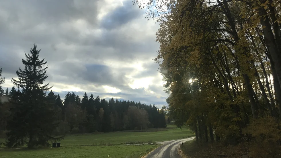Nära men ändå glesare. Sörmland lockar inte bara för sina tätorter, utan i växande utsträckning för den bygd som finns där utanför. 