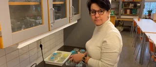 Nytt gymnasieprogram ska locka: "Har redan lokaler"