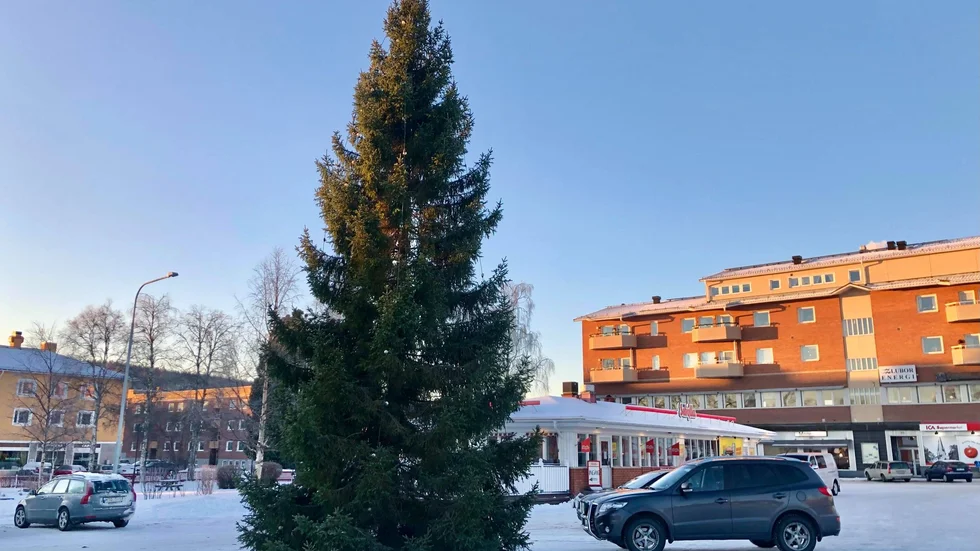 Nu står årets julgran på plats på Köpmantorget i Arvidsjaur.