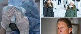 Löftet från Backgård: Coronapersonalen ska belönas av regionen