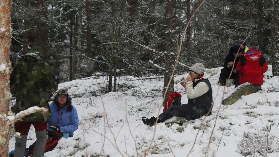 Den obligatoriska fikarasten intogs på en snöig kulle i Prästköpsskogen.