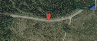 Fallna träd skapar problem i trafiken på väg 546